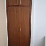 Palute סופטאר