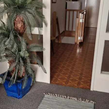 Palute Guest house Supetar