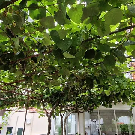 Palute Gostinjska kuća