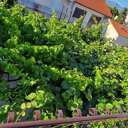 Palute Guest house Supetar
